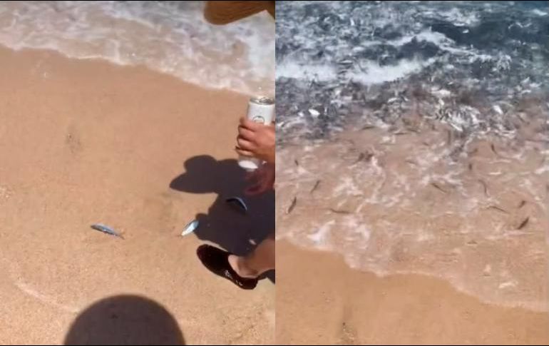 Usuarios relacionaron el extraño suceso con la erupción del volcán submarino en Tonga. TIKTOK