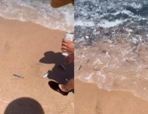 Usuarios relacionaron el extraño suceso con la erupción del volcán submarino en Tonga. TIKTOK