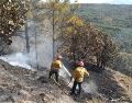 Estos dos incendios forestales son el quinto y el sexto en Jalisco, según estadísticas de la Conafor al cierre de 2021. ESPECIAL