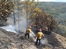 Estos dos incendios forestales son el quinto y el sexto en Jalisco, según estadísticas de la Conafor al cierre de 2021. ESPECIAL