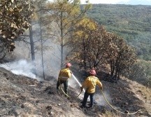 Estos dos incendios forestales son el quinto y el sexto en Jalisco, según estadísticas de la Conafor al cierre de 2021. ESPECIAL