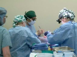 Se espera que los avances en el campo de los llamados xenotrasplantes, o transplante de órganos entre especies puedan resolver la escasez de donaciones en los humanos. AFP / J. Myers