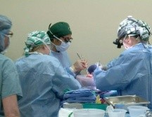 Se espera que los avances en el campo de los llamados xenotrasplantes, o transplante de órganos entre especies puedan resolver la escasez de donaciones en los humanos. AFP / J. Myers