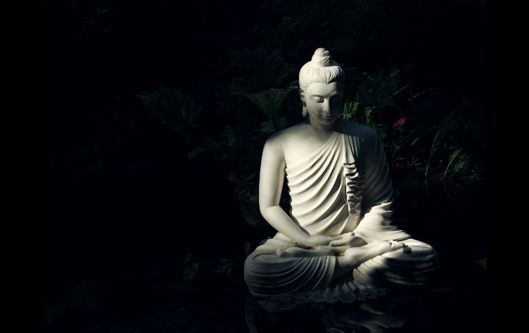 UNSPLASH/MATTIA FALORETTI