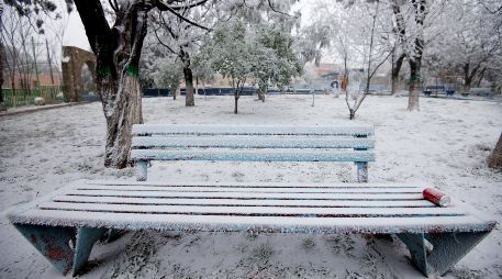 Las autoridades mexicanas pronosticaron entre 10 y 12 tormentas invernales durante la temporada 2021-2022. EFE / M. Sierra