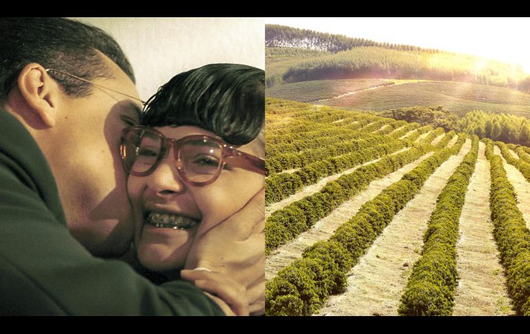 La nueva versión de 