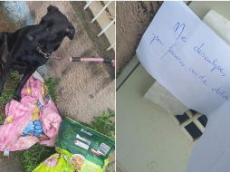 Lea logró ser adoptada gracias a la publicación que se viralizó en redes. FACEBOOK / Laís Chesine Monfrinato