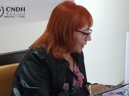 Rosario Robles declaró que al inicio de su gestión heredó 508 recomendaciones sin cumplimiento. TWITTER/@CNDH