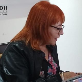 La CNDH se fortalece pese a "brutal campaña mediática": Rosario Piedra
