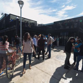 Colmenas bajan delitos en colonias