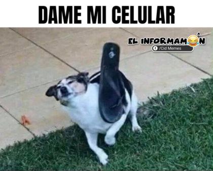 Dame mi celular