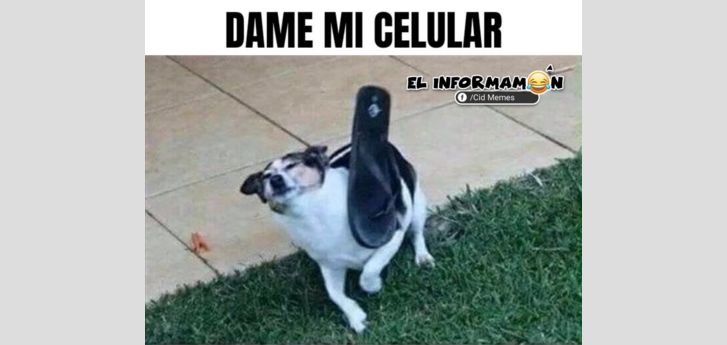 Dame mi celular