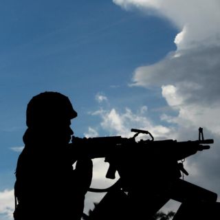 Incautan 20 mil cocos frescos... contenían cocaína líquida dentro