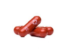 El tratamiento, llamado molnupiravir, es un antiviral que debe ser administrado rápidamente tras la aparición de síntomas, y tomado durante cinco días para evitar que el virus se replique. AFP / ESPECIAL