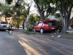 Un joven de 35 años murió esta mañana tras perder el control de su vehículo y chocar contra un árbol en la colonia Jardines de la Paz. ESPECIAL