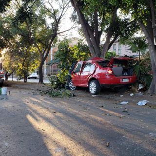 Seguridad en Jalisco: Muere hombre tras chocar su auto contra un árbol en Jardines de la Paz