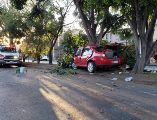 Un joven de 35 años murió esta mañana tras perder el control de su vehículo y chocar contra un árbol en la colonia Jardines de la Paz. ESPECIAL