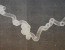 Registro de un supuesto ovni captado por el fotógrafo Adenir Britto. ACERVO JACKSON CAMARGO