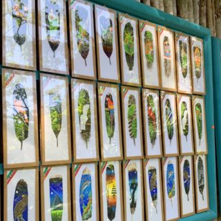 "Arte plumario", el arte de pintar plumas de aves en el parque ecológico Xcaret