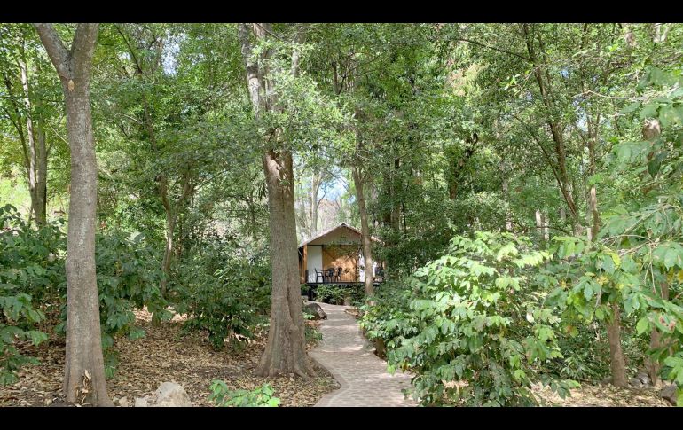 Las cabañas Puerta Paraíso en Amacueca son una excelente opción para pasar un fin de semana en medio de la naturaleza. GENTE BIEN JALISCO/ MAITÉ RUIZ VELASCO