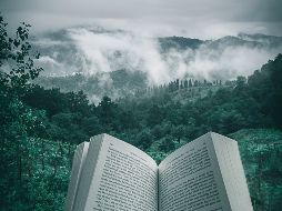 Leer ampliará tus horizontes / Photo by Kourosh-Gaffari on Unsplash