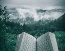 Leer ampliará tus horizontes / Photo by Kourosh-Gaffari on Unsplash