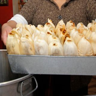 Día de la Candelaria: ¿Cuáles son los mejores tamales de Guadalajara? Así responden los tapatíos