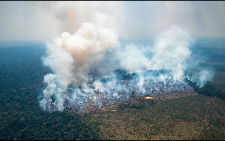 Amenaza constante. Incendios forestales modifican los ecosistemas y el hábitat de la fauna. AFP