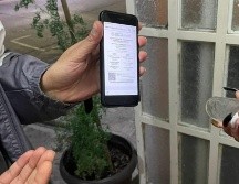 La petición del certificado de vacunación permanecerá vigente todavía un fin de semana más. ESPECIAL
