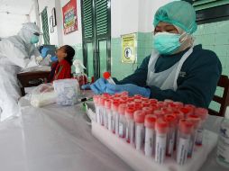 Advierten sobre los peligros que implica ingerir fármacos de uso animal para cualquier enfermedad humana. AFP/DIKA