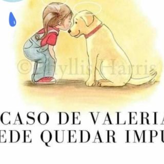 Seguridad en Jalisco: Muere niña en Tototlán por comer galleta envenenada que era para su perro