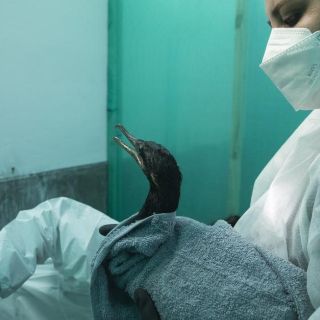 Derrame en Perú: La OEA pide "ayuda humanitaria de emergencia" ante desastre