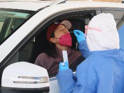 El resultado de una prueba de antígenos se obtiene en entre 15 y 25 minutos, la PCR puede ser entregada el mismo día si se hace por la mañana. EL INFORMADOR/A. Navarro