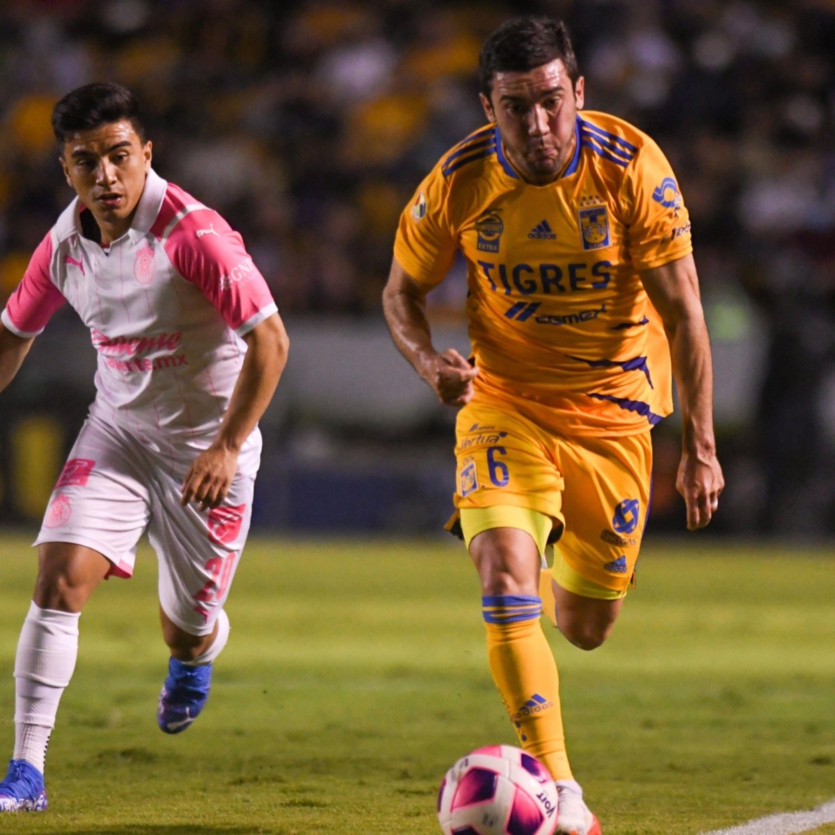 Chivas vs Tigres: Horario y dónde ver EN VIVO el partido de la ...