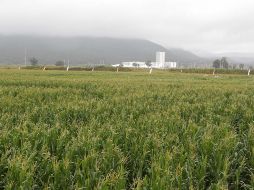 El juez del Séptimo Tribunal Colegiado en Materia Administrativa determinó que el decreto afecta el derecho de la propiedad y la posesión del quejoso. EL INFORMADOR/Archivo