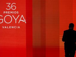 Hoy se llevó a cabo la alfombra roja de la edición 36 de los Premios Goya.  EFE/K. Forsterling