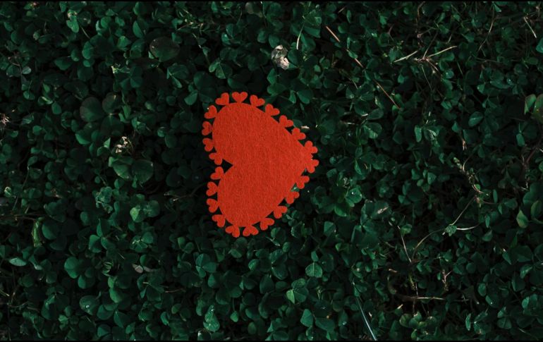 ESPECIAL/Photo by engin akyurt on Unsplash