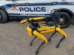 Detallan que el perro no tiene boca, por lo que no puede morder, ni puede portar armas. EFE/Policía de St. Petersburg