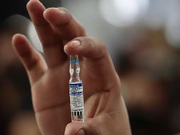 El estudio no toma en consideración a las mujeres que habían sido vacunadas antes del embarazo. SUN/B. Fregoso