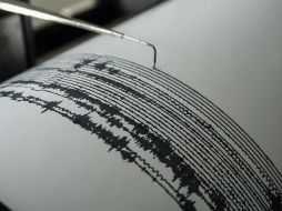 De acuerdo con el Centro de Alerta de Tsunamis no se espera la generación de uno de estos fenómenos, sin embargo, se pueden producir variaciones de pocos centímetros en el nivel del mar. EFE / ARCHIVO