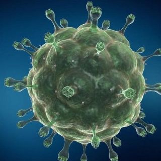 VIH: el caso de la primera mujer en el mundo que logró curarse del virus con un novedoso tratamiento (y por qué es difícil de aplicar a otros enfermos)