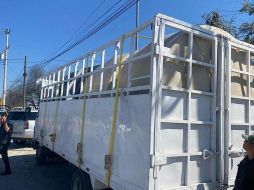El camión fue localizado por la FGR en el municipio de Allende, Nuevo León, cuando se le marcó el alto para una revisión de rutina. EFE/Secretaría de Gobernación