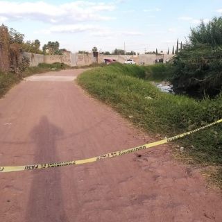 Nuevo León: Hallan 487 restos óseos en Hidalgo