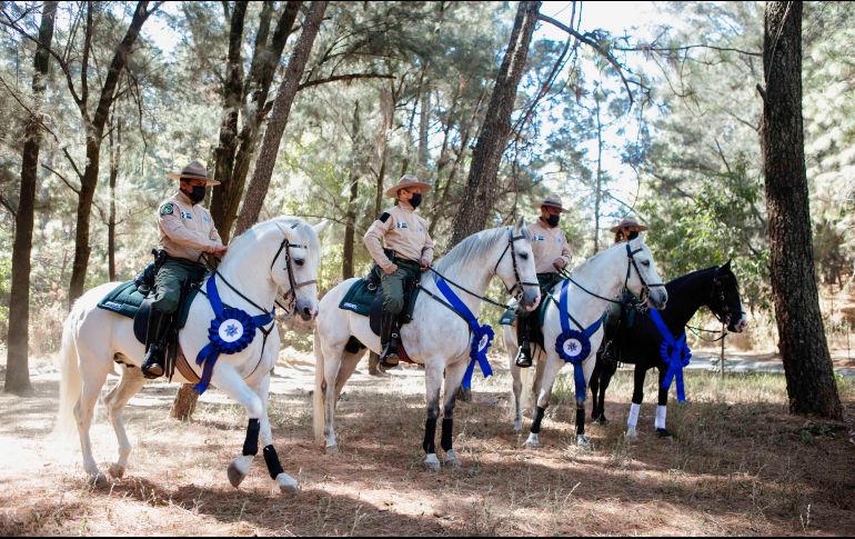 EL INFORMADOR / G. Gallo