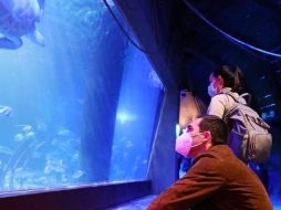 En redes sociales, compañeros de la joven lamentaron la muerte de la hidrobióloga y pidieron justicia. TWITTER/@AlcaldiaMHmx