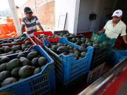 El comercio de alimentos y productos agrícolas entre México y Estados Unidos alcanzó 65 mil millones de dólares en 2021. SUN/Archivo
