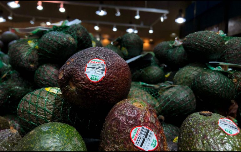Los estadounidenses ya consideran al aguacate como parte de su dieta cotidiana. AFP/Archivo