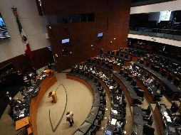 La coordinadora del PT en el Senado, Geovanna Bañuelos, propuso una reforma para que el Ministerio Público de la Federación atraiga todos los casos de asesinatos, atentados y hostigamiento en contra de periodistas. SUN / ARCHIVO