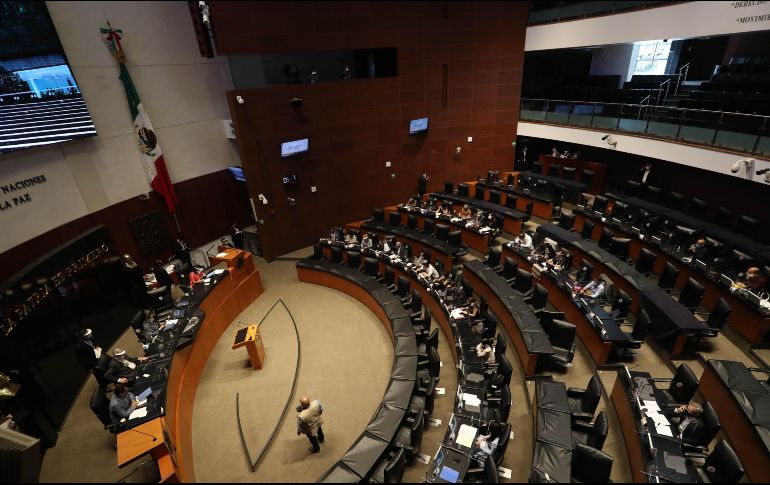 La coordinadora del PT en el Senado, Geovanna Bañuelos, propuso una reforma para que el Ministerio Público de la Federación atraiga todos los casos de asesinatos, atentados y hostigamiento en contra de periodistas. SUN / ARCHIVO