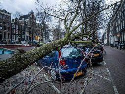 Detalle de un árbol caído sobre varios coches en el Keizersgracht en Amsterdam, tras el paso de la tormenta 